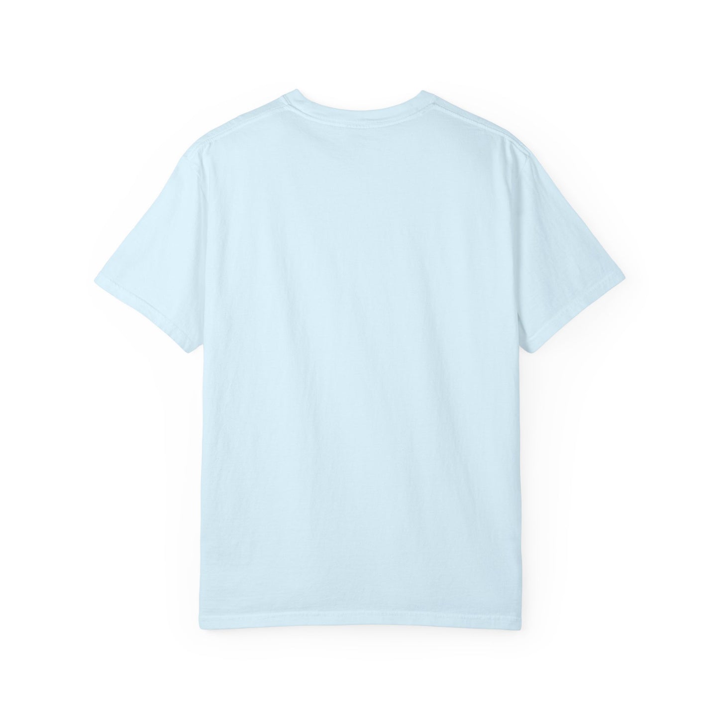 USA 250 Birthday T-Shirt