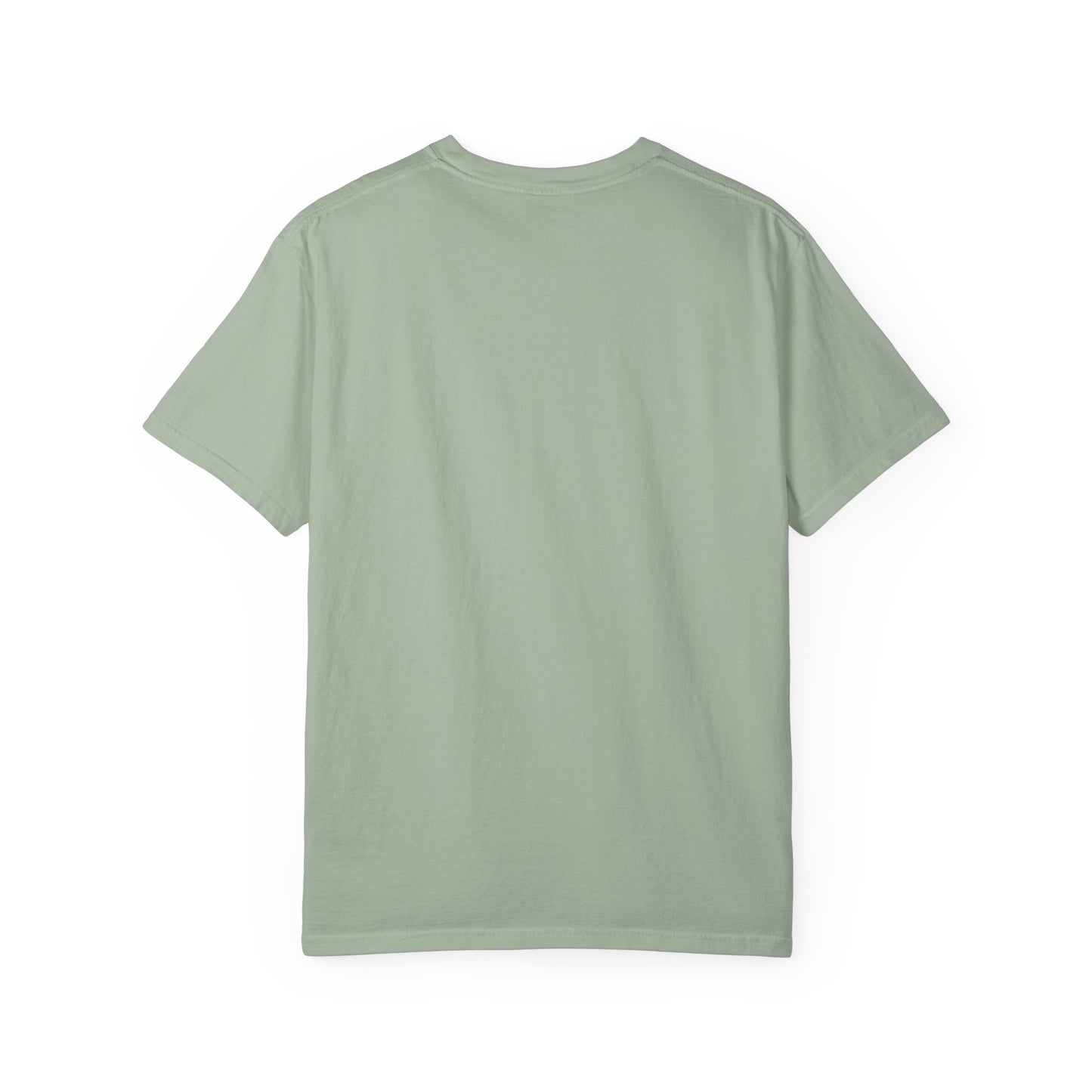 USA 250 Birthday T-Shirt