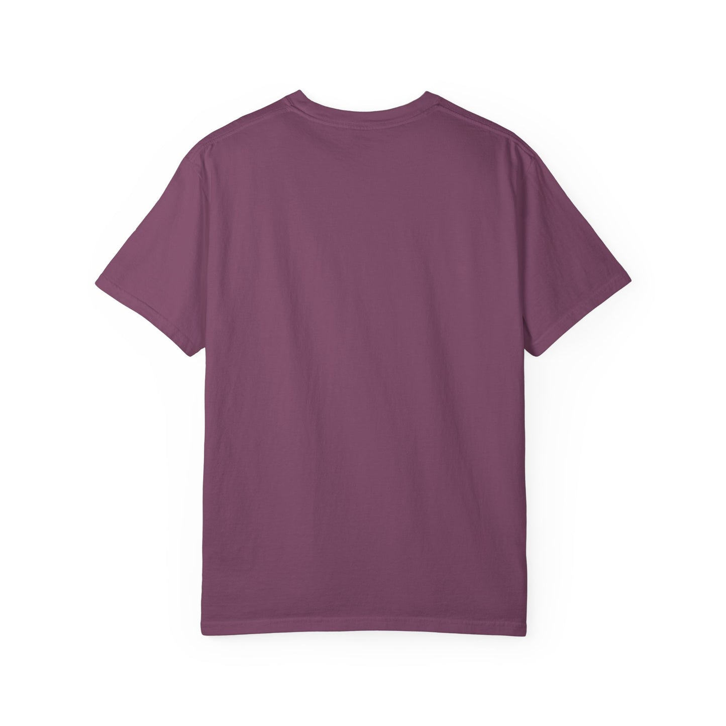 USA 250 Birthday T-Shirt