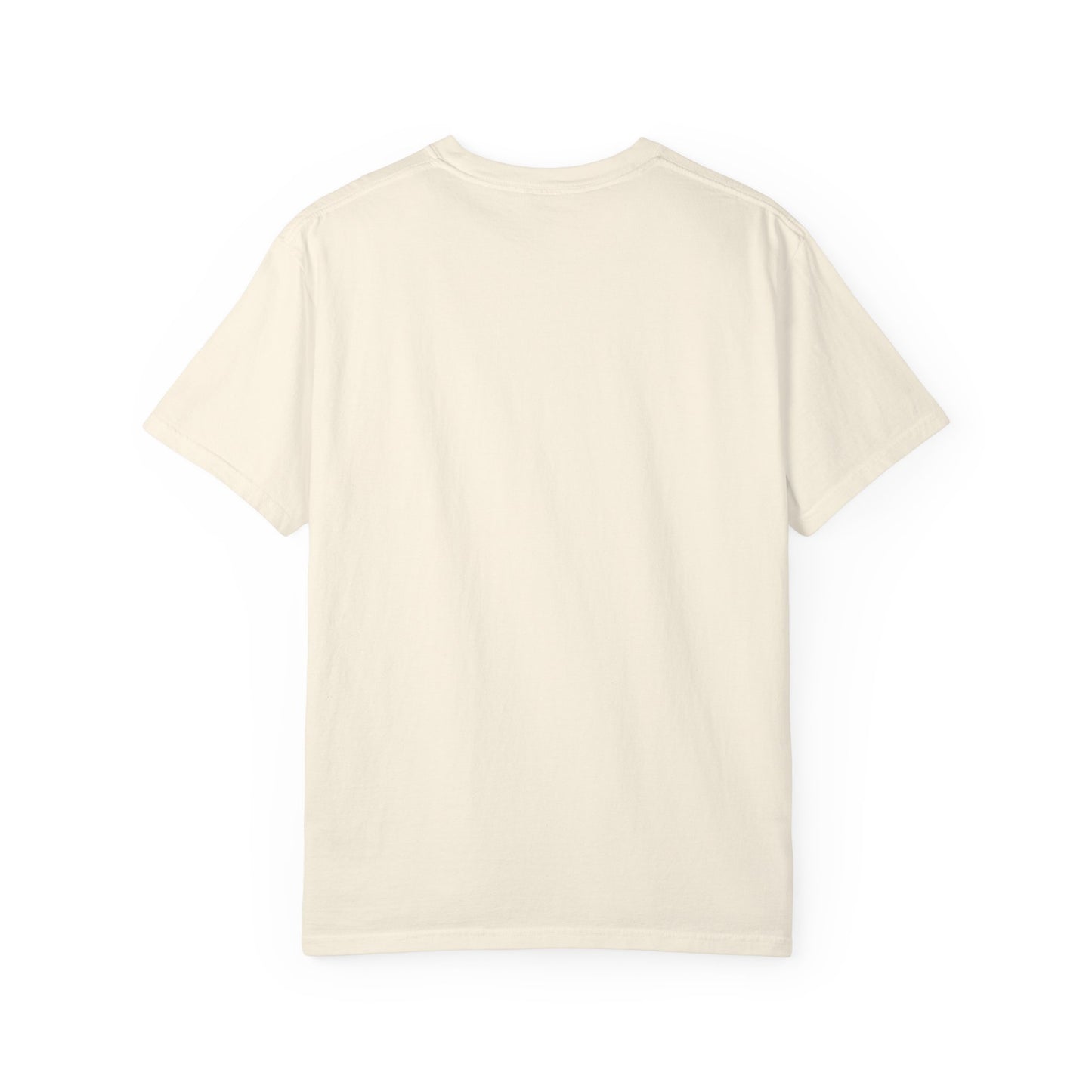 USA 250 Birthday T-Shirt