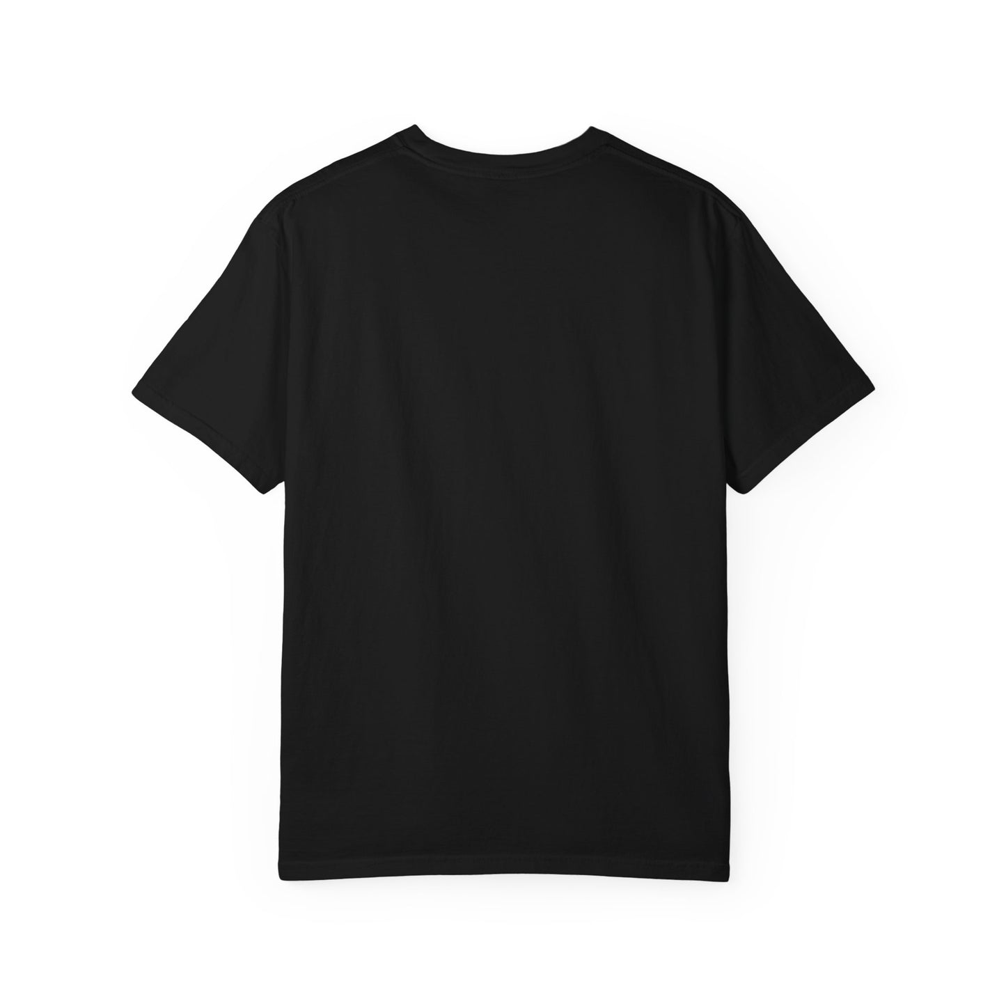 USA 250 Birthday T-Shirt