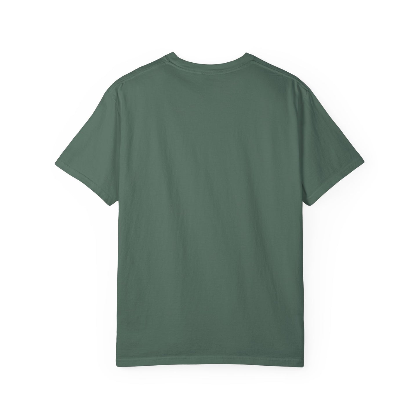 USA 250 Birthday T-Shirt