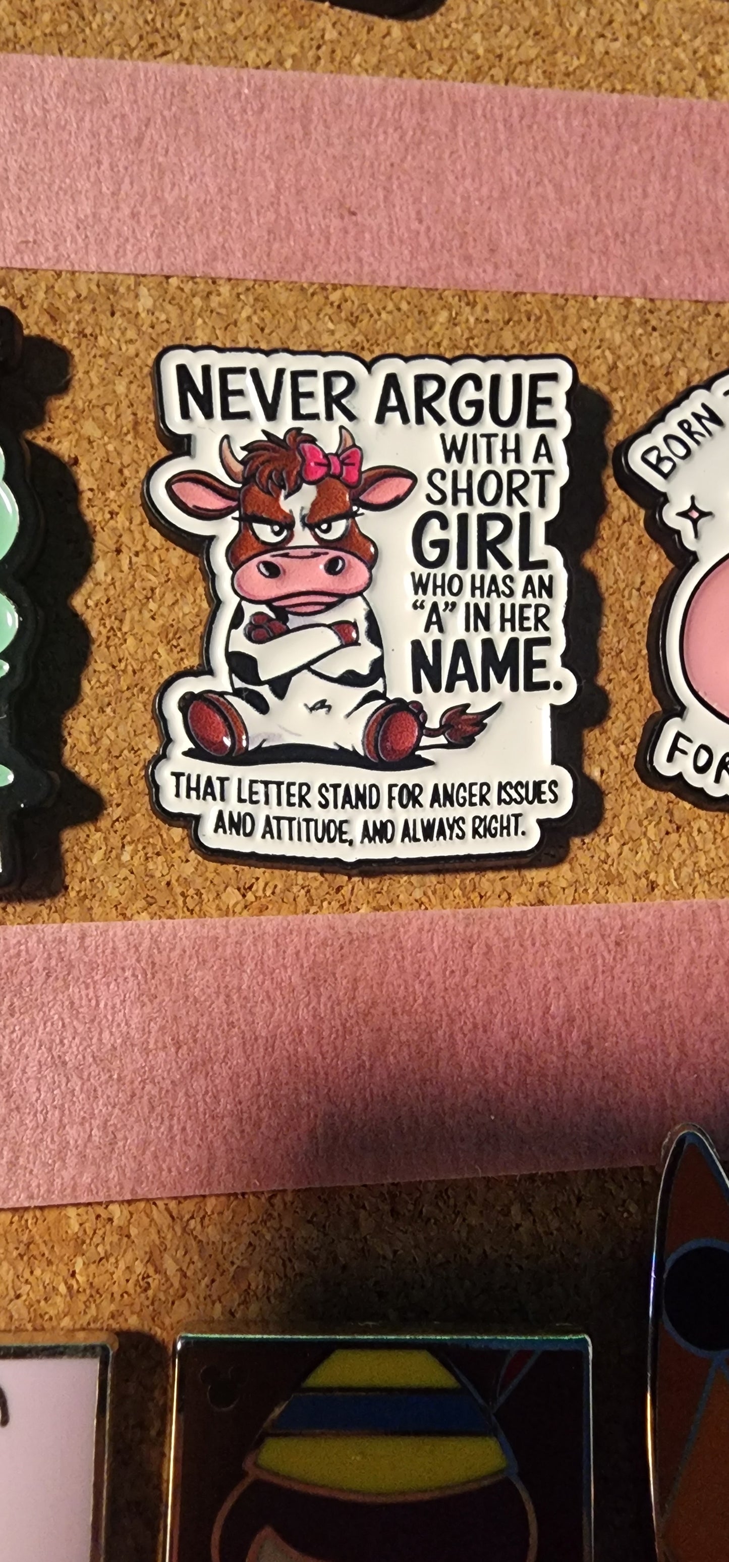 $4 funny/Relatable animal pins