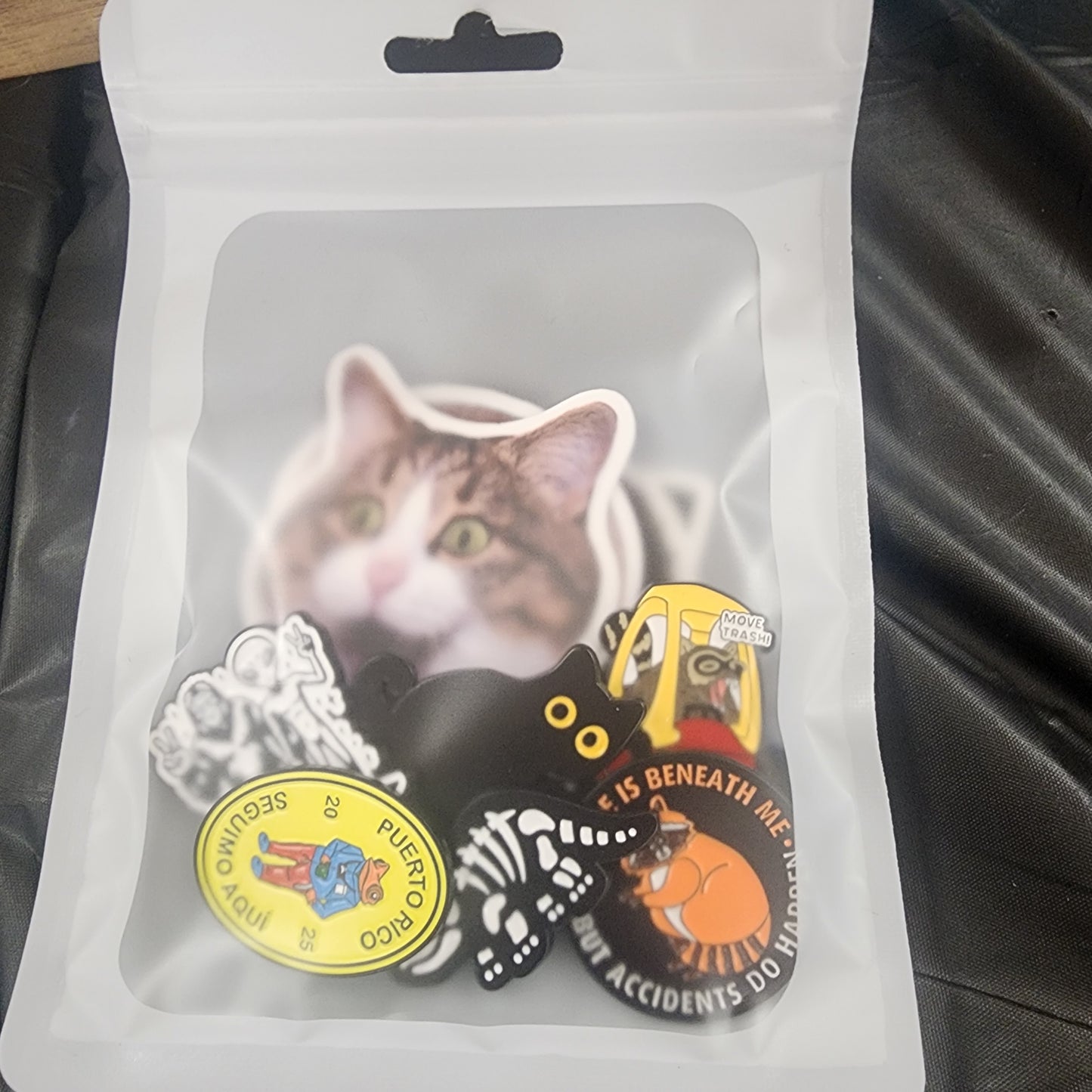 Mystery Bag of 6+ pins
